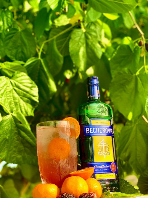 Drink Bohemian Rhapsody created by Zev Glesta