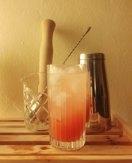 Drink Collins Ave. created by Gabriela Ospina