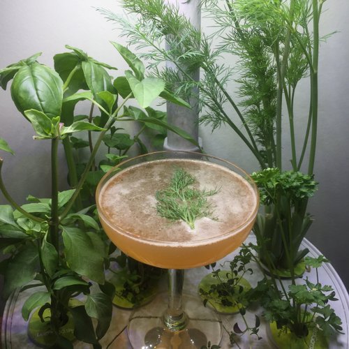 Drink No Rules created by Katy Dimick