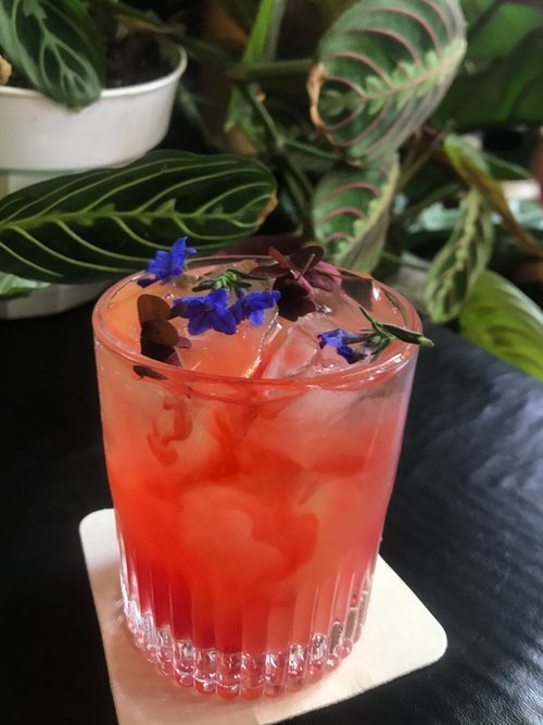 Drink Pachuca Sunrise created by Zachary Takasawa