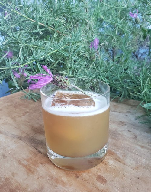 Drink Under the Plum Tree created by Kelly Chi